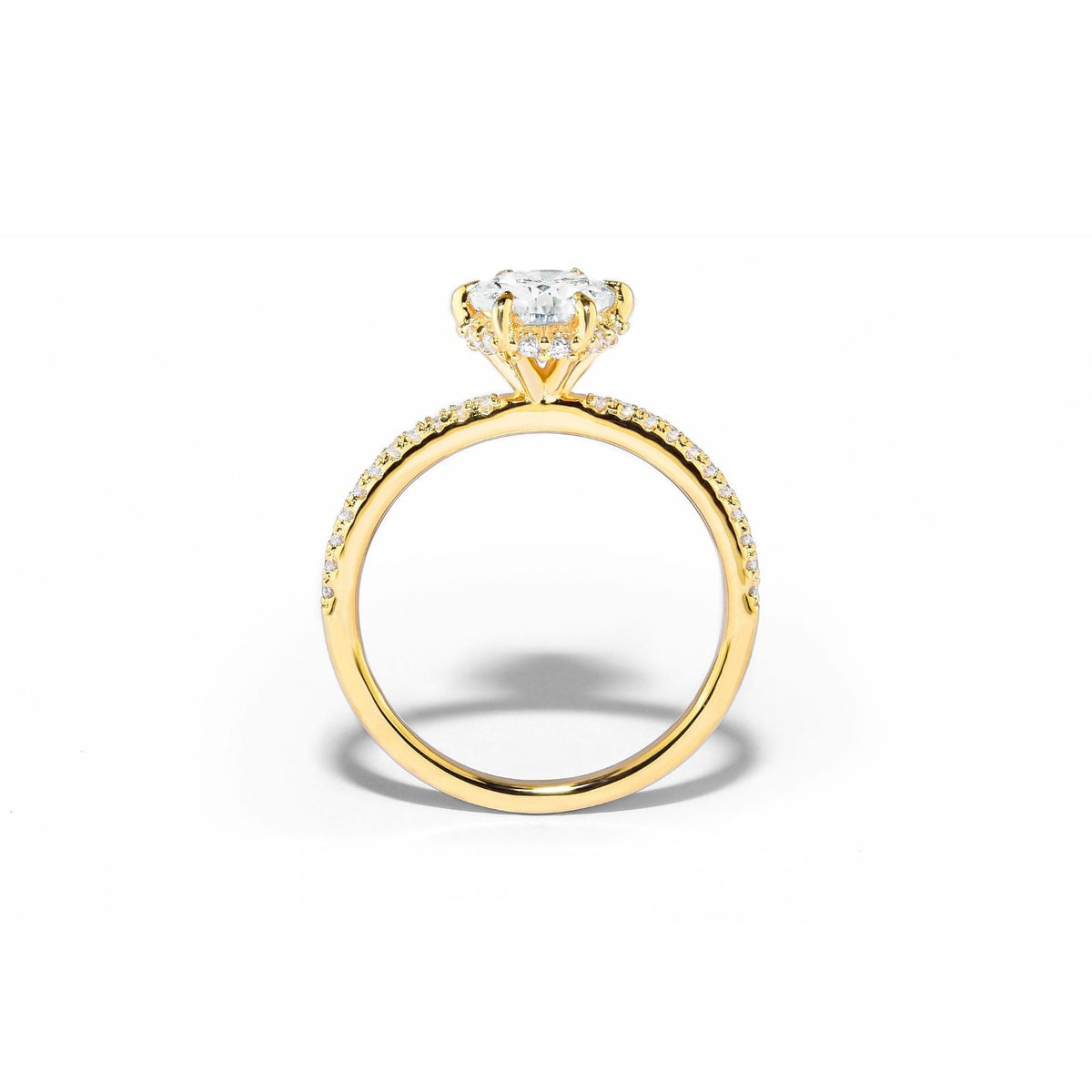 Anel Solitário Noivado Cravejado com Moissanite 1ct Prata 925 Lunnelé™ - foto 2